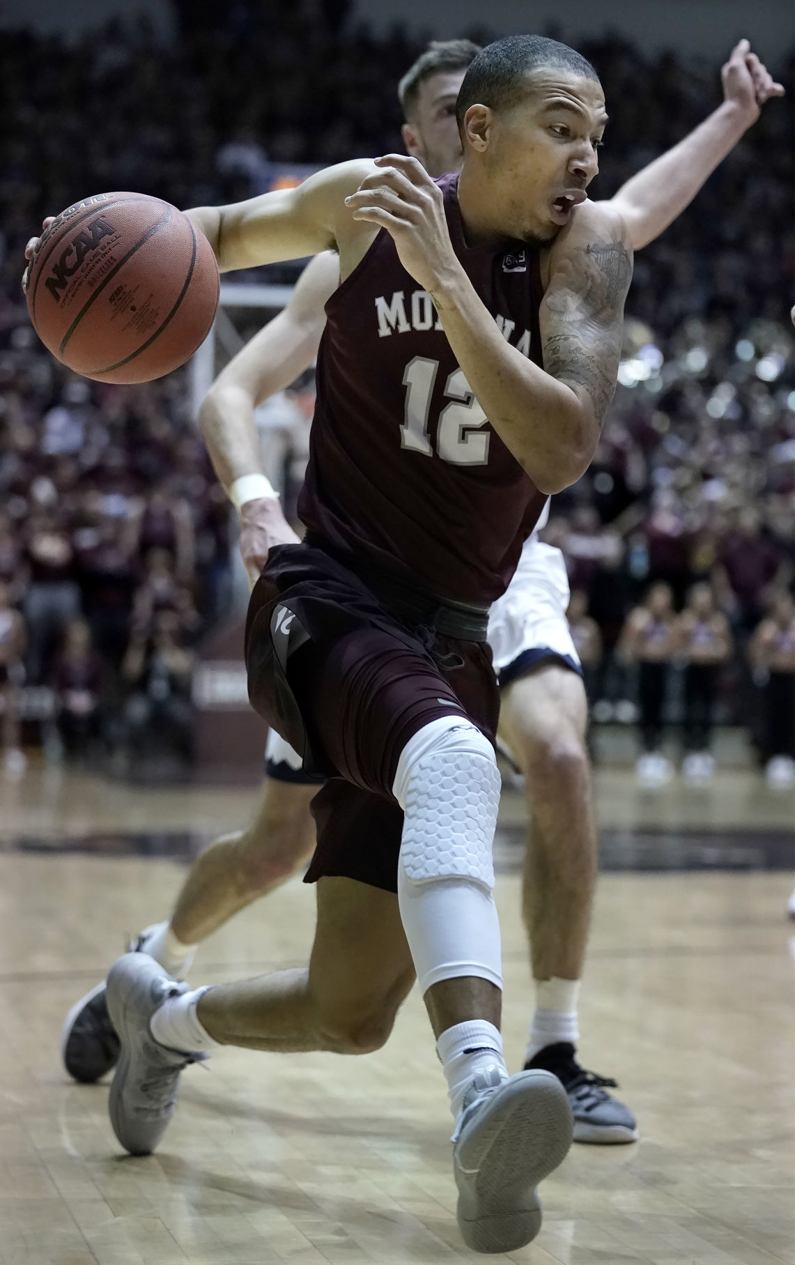 Griz v Cats-23-tm.JPG